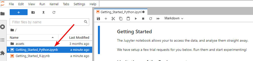 Jupyter notebook